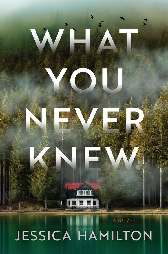 What You Never Knew by Jessica Hamilton