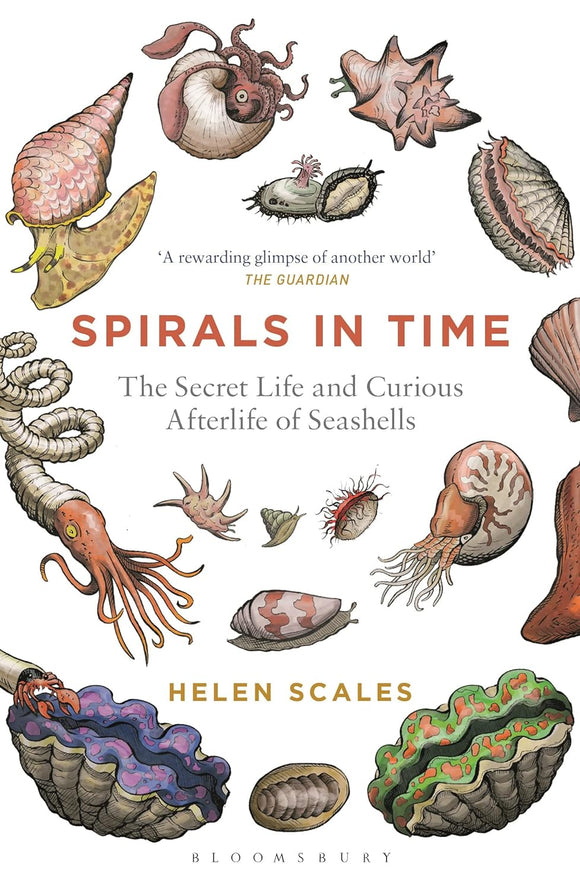 Spirals in Time: The Secret Life and Curious Afterlife of Seashells by Helen Scales