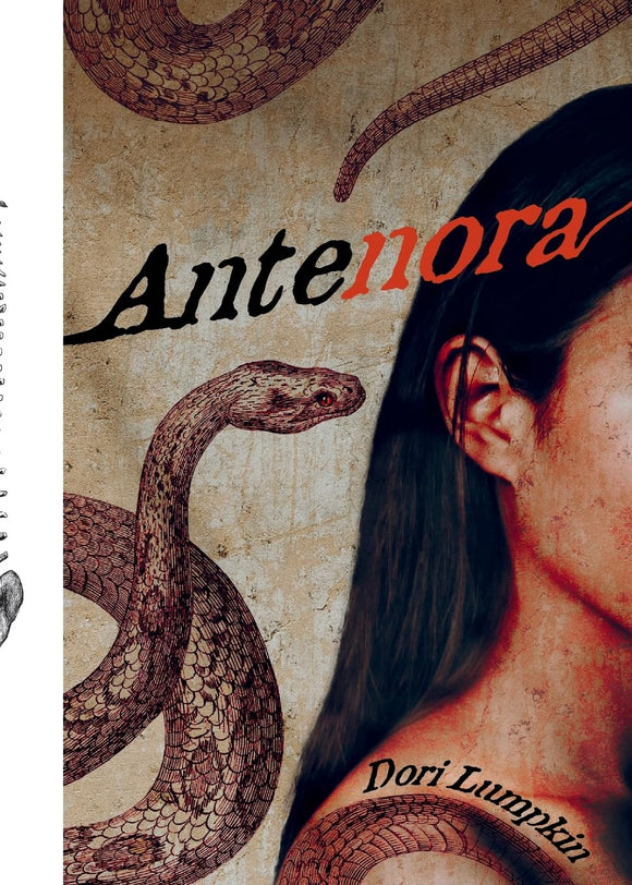 Antenora by Dori Lumpkin