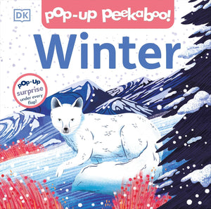 Pop-up Peekaboo! Winter by DK