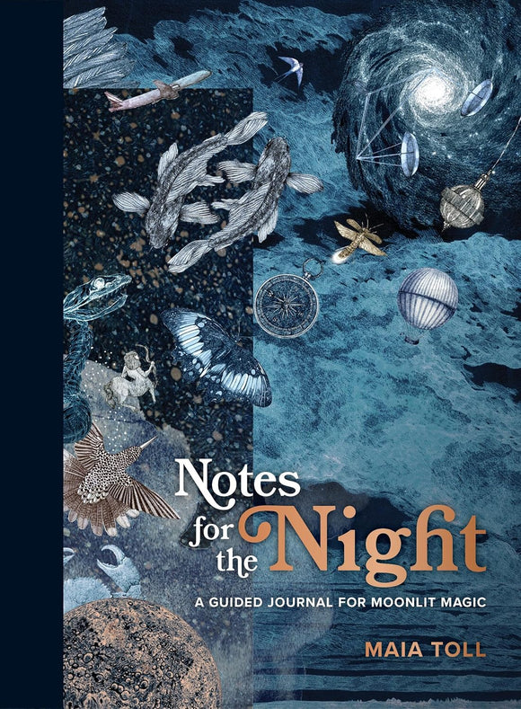 Notes for the Night by Maia Toll