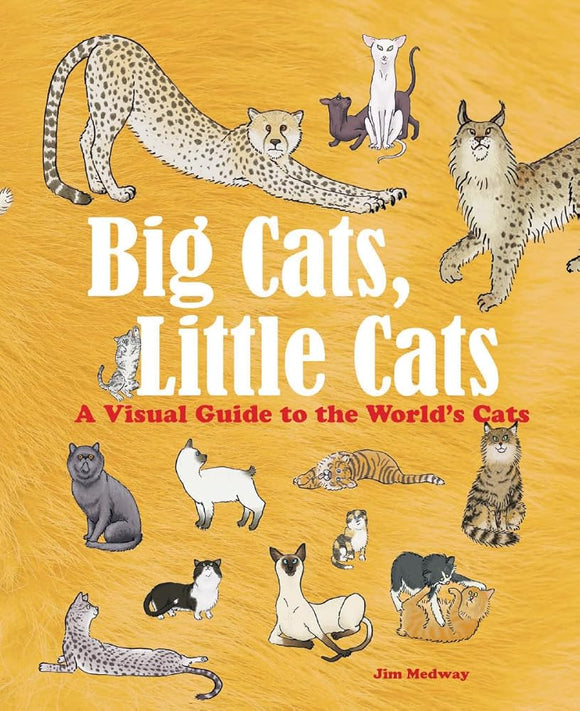 Big Cats, Little Cats: A Visual Guide to the World's Cats (Big and Little) cover image