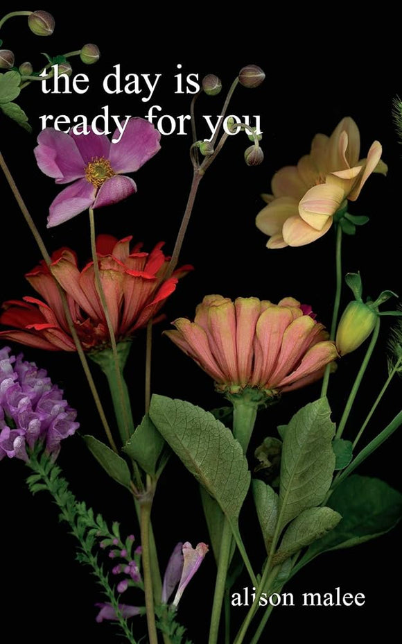 The Day Is Ready for You cover image