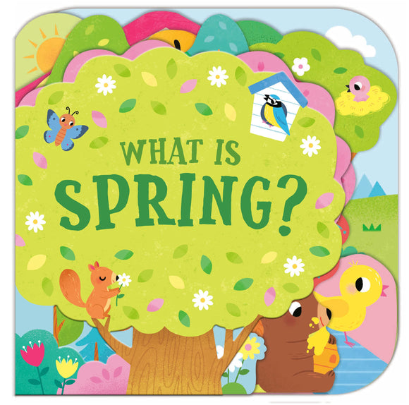What Is Spring? by Sonali Fry